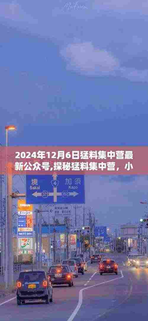 探秘猛料集中营，小巷深处的独特风味集结号（公众号最新资讯）