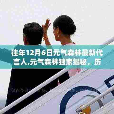 攀高接贵 第6页