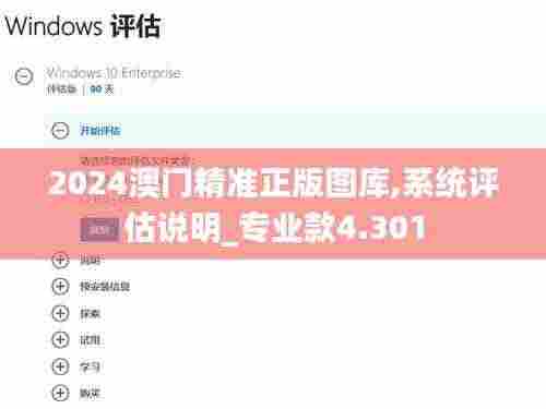 2024澳门精准正版图库,系统评估说明_专业款4.301