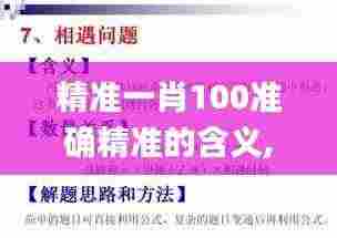 精准一肖100准确精准的含义,灵活性策略设计_免费版4.930