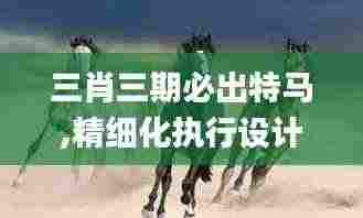 三肖三期必出特马,精细化执行设计_4DM4.305