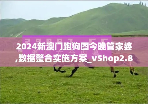 2024新澳门跑狗图今晚管家婆,数据整合实施方案_vShop2.856