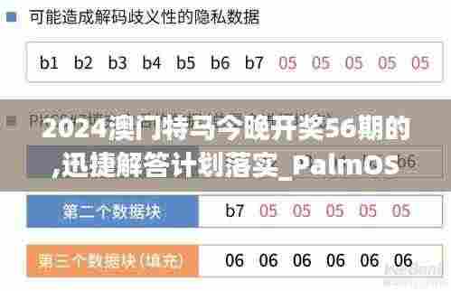 2024澳门特马今晚开奖56期的,迅捷解答计划落实_PalmOS10.943