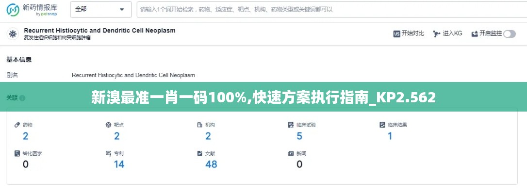 新溴最准一肖一码100%,快速方案执行指南_KP2.562