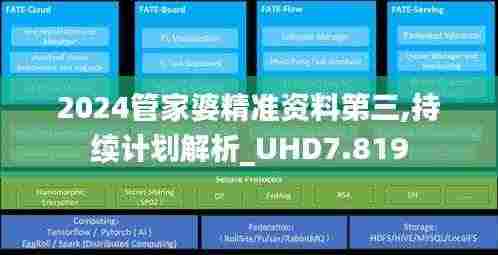 2024管家婆精准资料第三,持续计划解析_UHD7.819