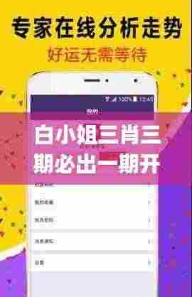 白小姐三肖三期必出一期开奖虎年,实践解析说明_苹果款15.347