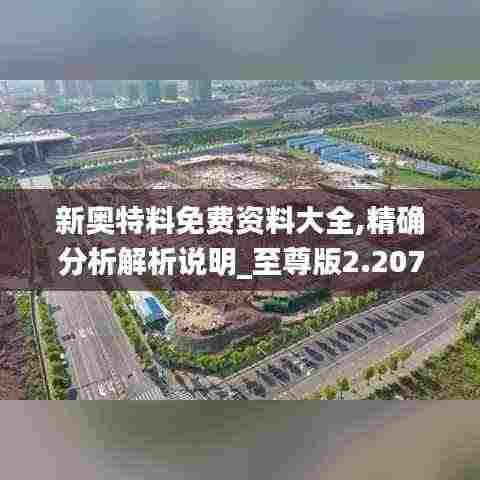 新奥特料免费资料大全,精确分析解析说明_至尊版2.207