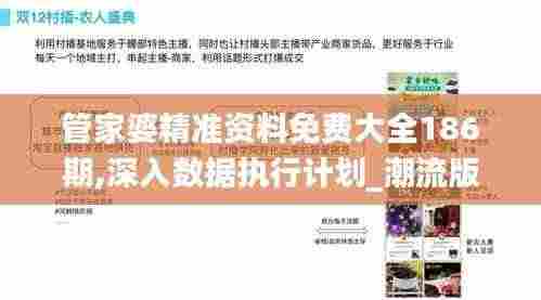 管家婆精准资料免费大全186期,深入数据执行计划_潮流版2.568