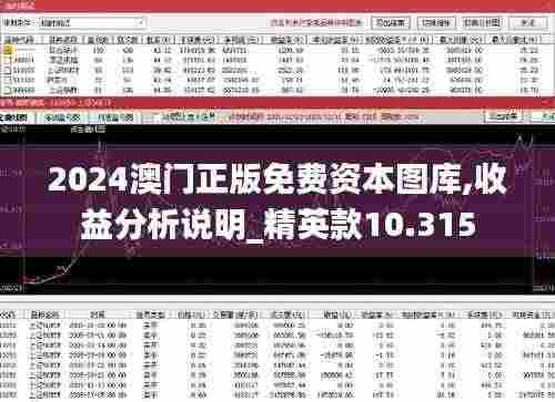 2024澳门正版免费资本图库,收益分析说明_精英款10.315
