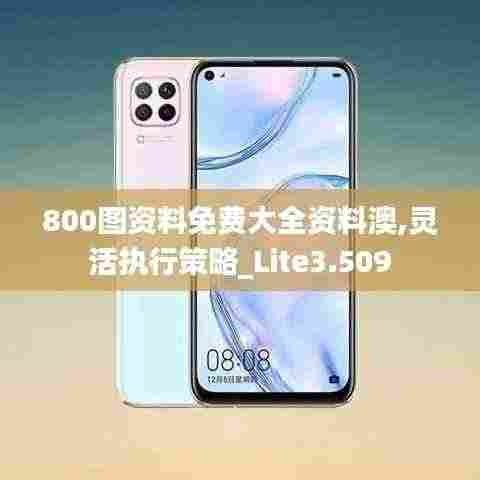 800图资料免费大全资料澳,灵活执行策略_Lite3.509
