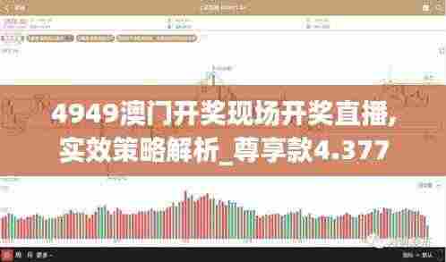 4949澳门开奖现场开奖直播,实效策略解析_尊享款4.377