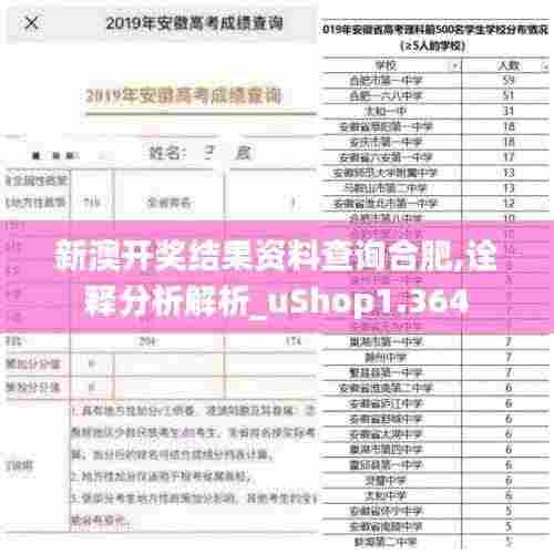 新澳开奖结果资料查询合肥,诠释分析解析_uShop1.364