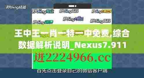 王中王一肖一特一中免费,综合数据解析说明_Nexus7.911