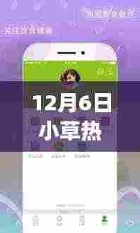 揭秘小草热门app破解版背后的真相与风险，犯罪行为的警示钟敲响！