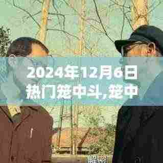 笼中斗趣，2024年12月6日的温馨日常