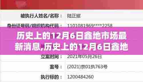 历史上的12月6日鑫地市场最新消息深度解析与评测报告