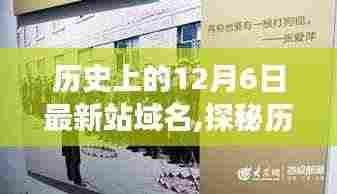 流光飞舞 第4页