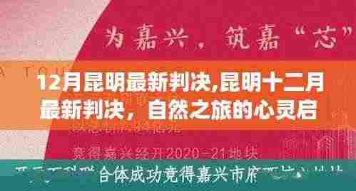 昆明最新判决背后的自然之旅心灵启示录