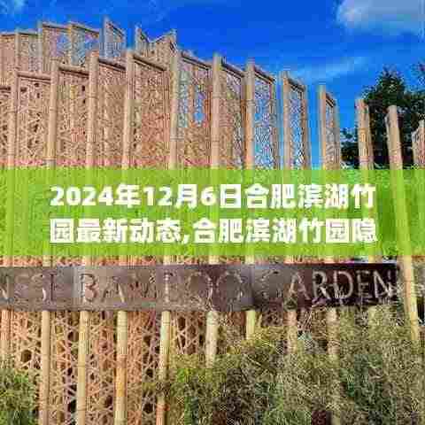 揭秘合肥滨湖竹园宝藏小店，一场独特的探索之旅（最新动态）