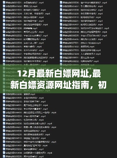 12月最新白嫖网址大全，从初学者到进阶用户的资源获取指南