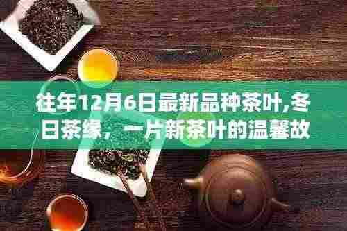 冬日茶缘，最新品种茶叶的温馨故事——12月6日的新茶篇章