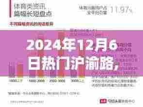 2024年12月6日沪渝路独特魅力深度评测报告
