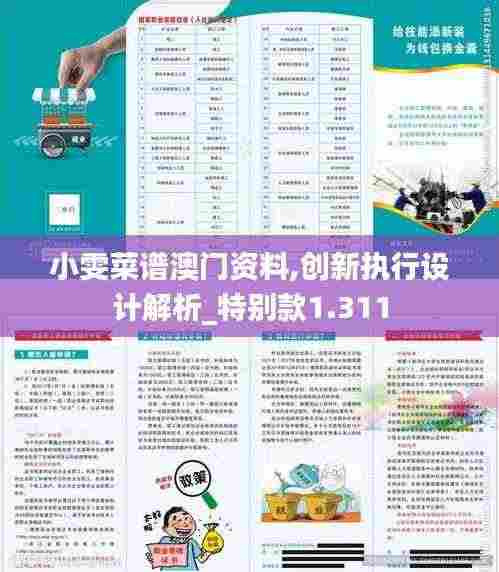 小雯菜谱澳门资料,创新执行设计解析_特别款1.311