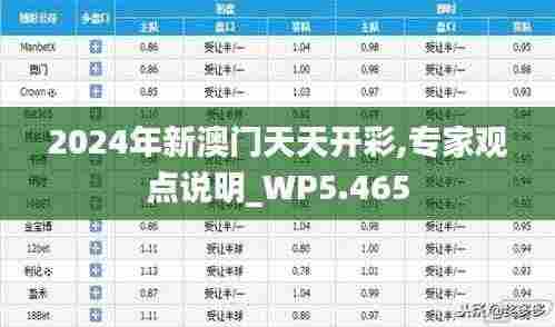 2024年新澳门天天开彩,专家观点说明_WP5.465