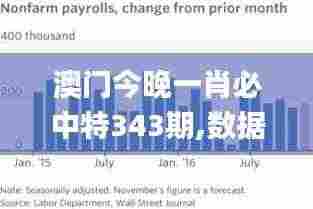 澳门今晚一肖必中特343期,数据分析说明_MP10.144