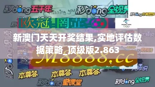 新澳门天天开奖结果,实地评估数据策略_顶级版2.863