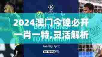 2024澳门今晚必开一肖一特,灵活解析方案_创意版11.553