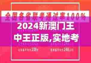2024新澳门王中王正版,实地考察数据解析_专属版9.393