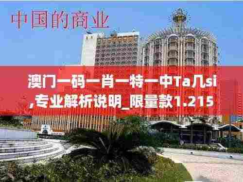 澳门一码一肖一特一中Ta几si,专业解析说明_限量款1.215