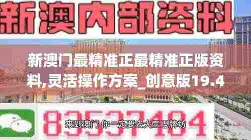 新澳门最精准正最精准正版资料,灵活操作方案_创意版19.466