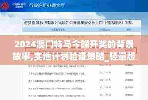 2024澳门特马今晚开奖的背景故事,实地计划验证策略_轻量版8.299