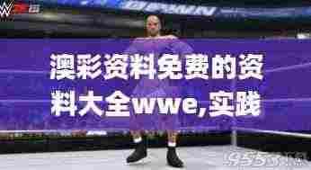 澳彩资料免费的资料大全wwe,实践解答解释定义_1440p5.966