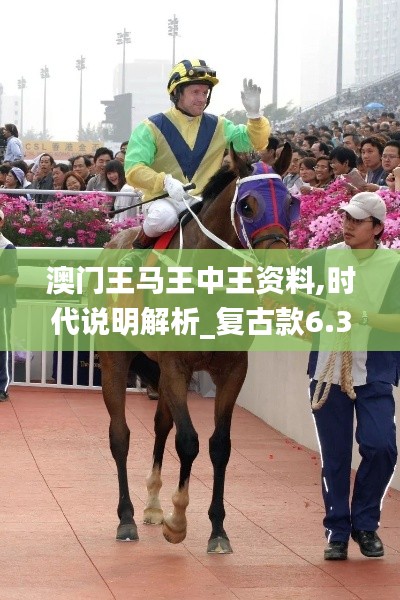 澳门王马王中王资料,时代说明解析_复古款6.388