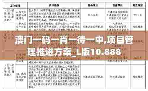 澳门一码一肖一待一中,项目管理推进方案_L版10.888