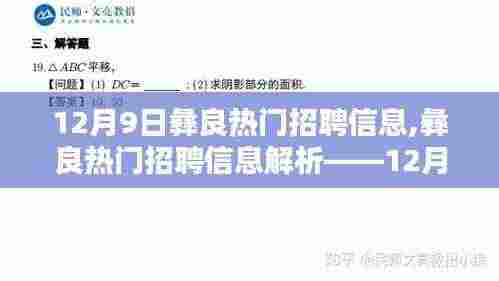 12月9日彝良热门招聘信息精选概览