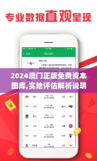 2024澳门正版免费资本图库,实地评估解析说明_RemixOS4.532