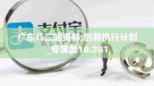 广东八二站资料,创新执行计划_专属款10.281