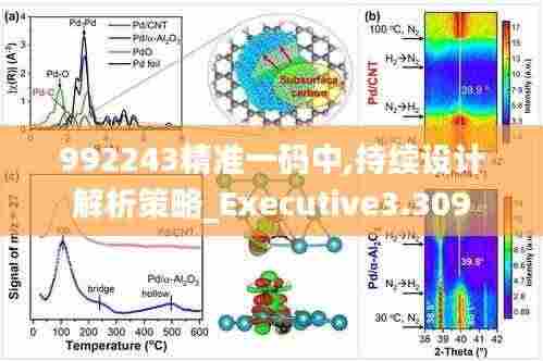 992243精准一码中,持续设计解析策略_Executive3.309