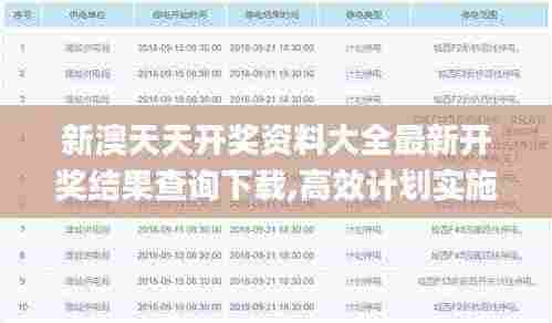 新澳天天开奖资料大全最新开奖结果查询下载,高效计划实施解析_T9.470