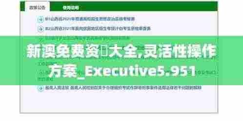 新澳免费资枓大全,灵活性操作方案_Executive5.951