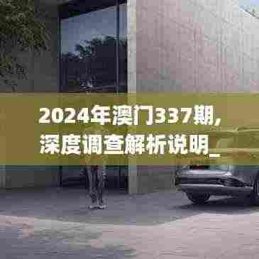 2024年澳门337期,深度调查解析说明_Executive13.362