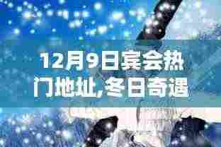 冬日奇遇，宾会热门地址的温馨日常与惊喜体验