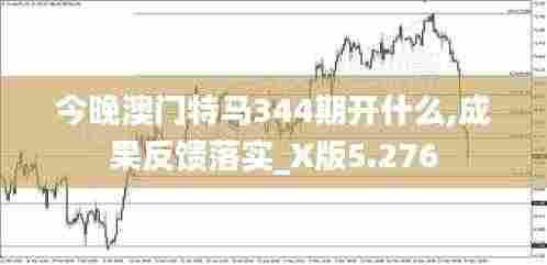 今晚澳门特马344期开什么,成果反馈落实_X版5.276