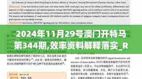 2024年11月29号澳门开特马第344期,效率资料解释落实_RX版4.215