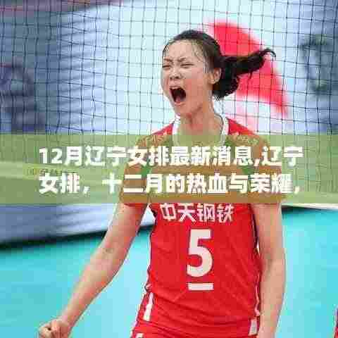 辽宁女排十二月的荣耀之路，热血铸就排球界璀璨传奇