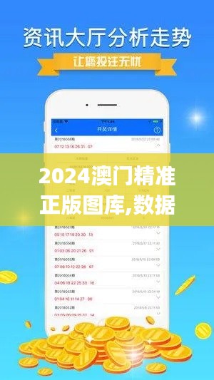 2024澳门精准正版图库,数据驱动实施方案_超值版12.405